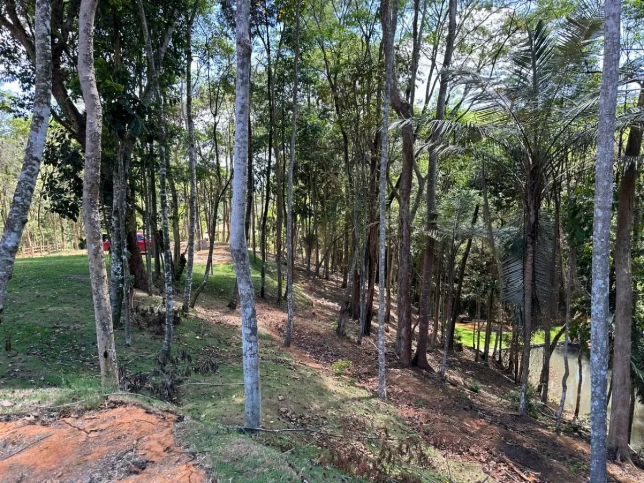 Vendo chácaras em Fundão - Foto 2