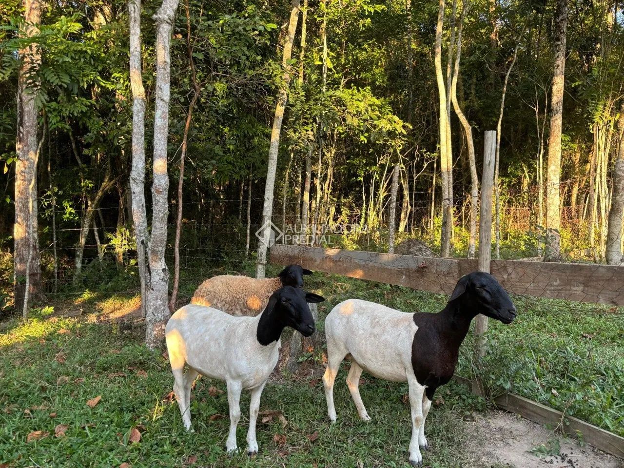 Venha viver em meio a natureza em Palhoça! - Foto 2