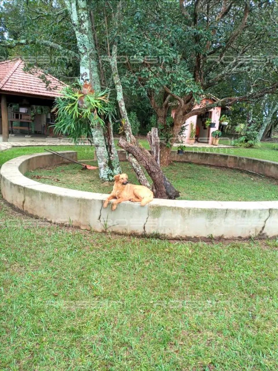 Rancho / Sítio, Cássia dos Coqueiros - SP - Foto 4