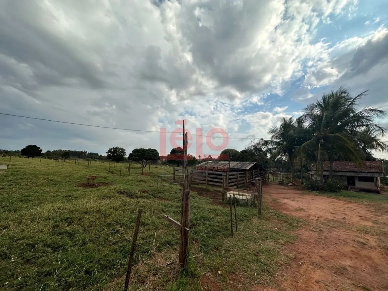 ÁREA RURAL EM IGUARAÇU - Foto 4