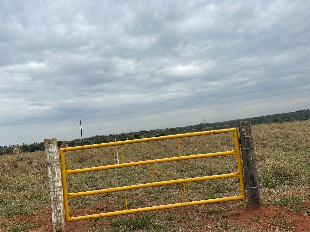 Chácara proximo a cidade 2.12 hectares - Foto 4