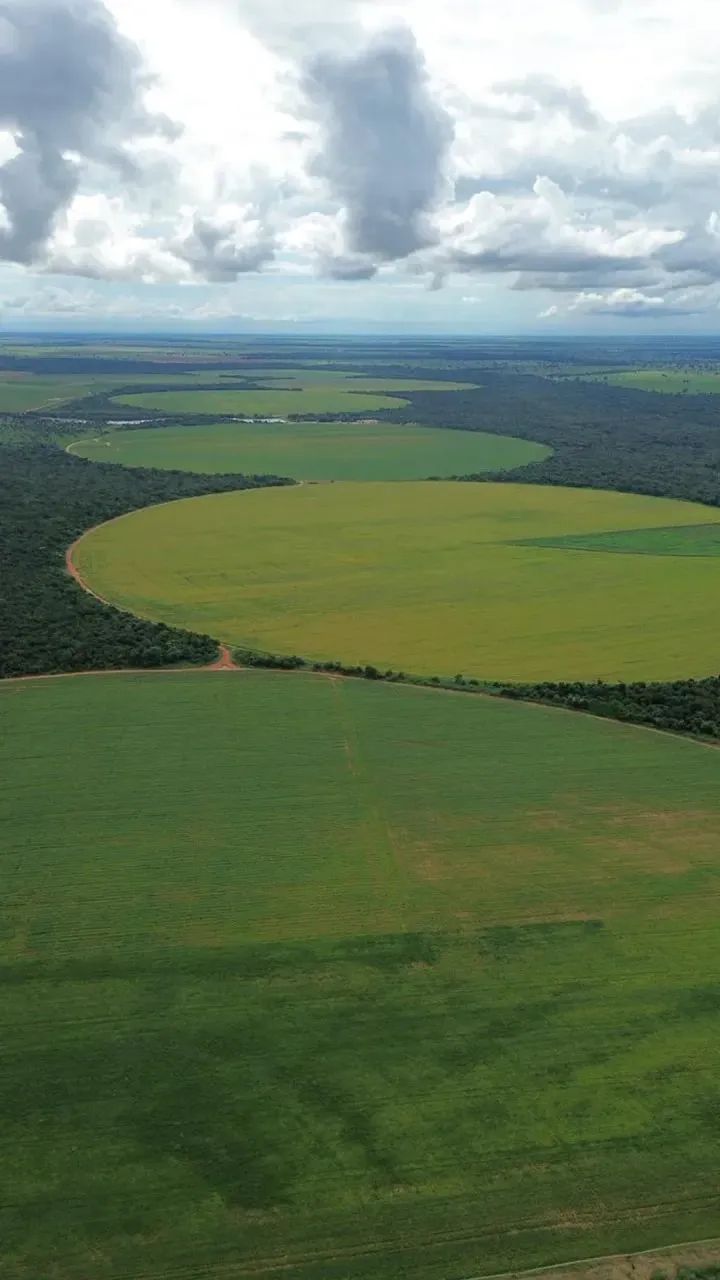 FAZENDA EM JUSSARA GO - 338 ALQUEIRES - Foto 2