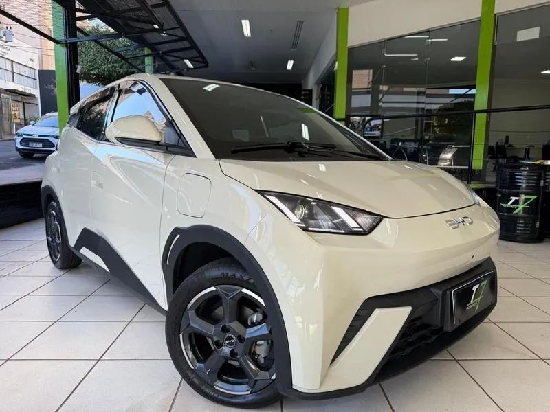 BYD Dolphin 2025