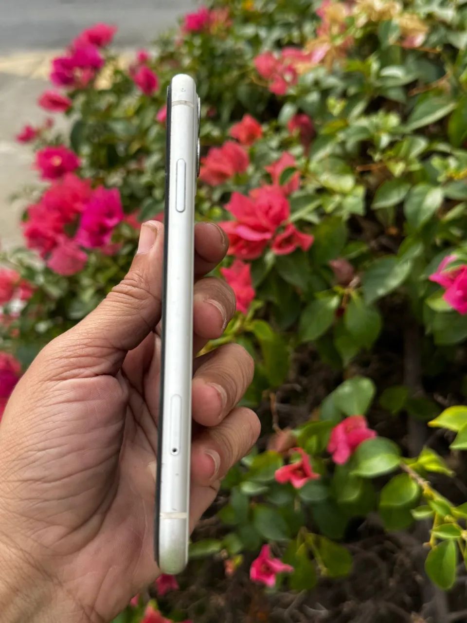 iPhone 11 - Foto 4