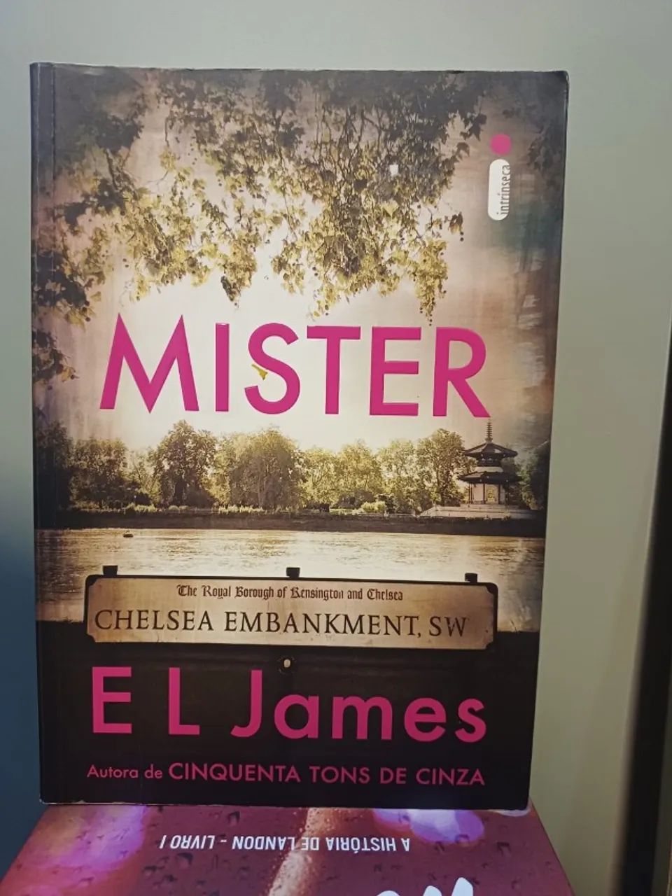 Livro Mister 