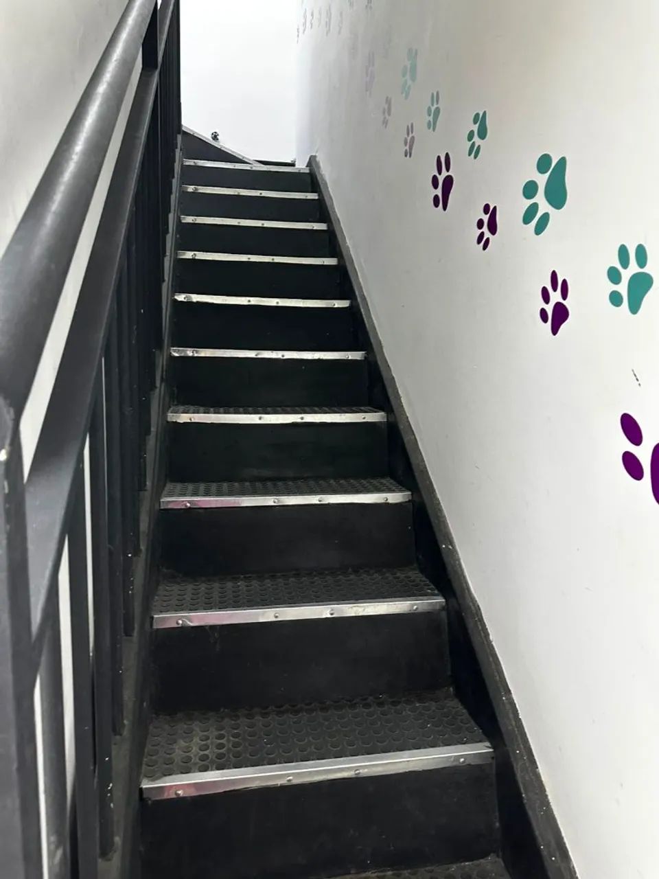 Passo Ponto Clínica Veterinária  - Foto 3