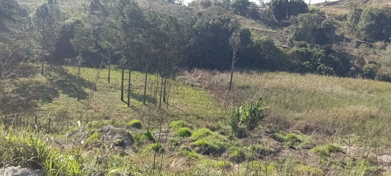 Ótimo terreno para formar chácara 2500m2 - Foto 5