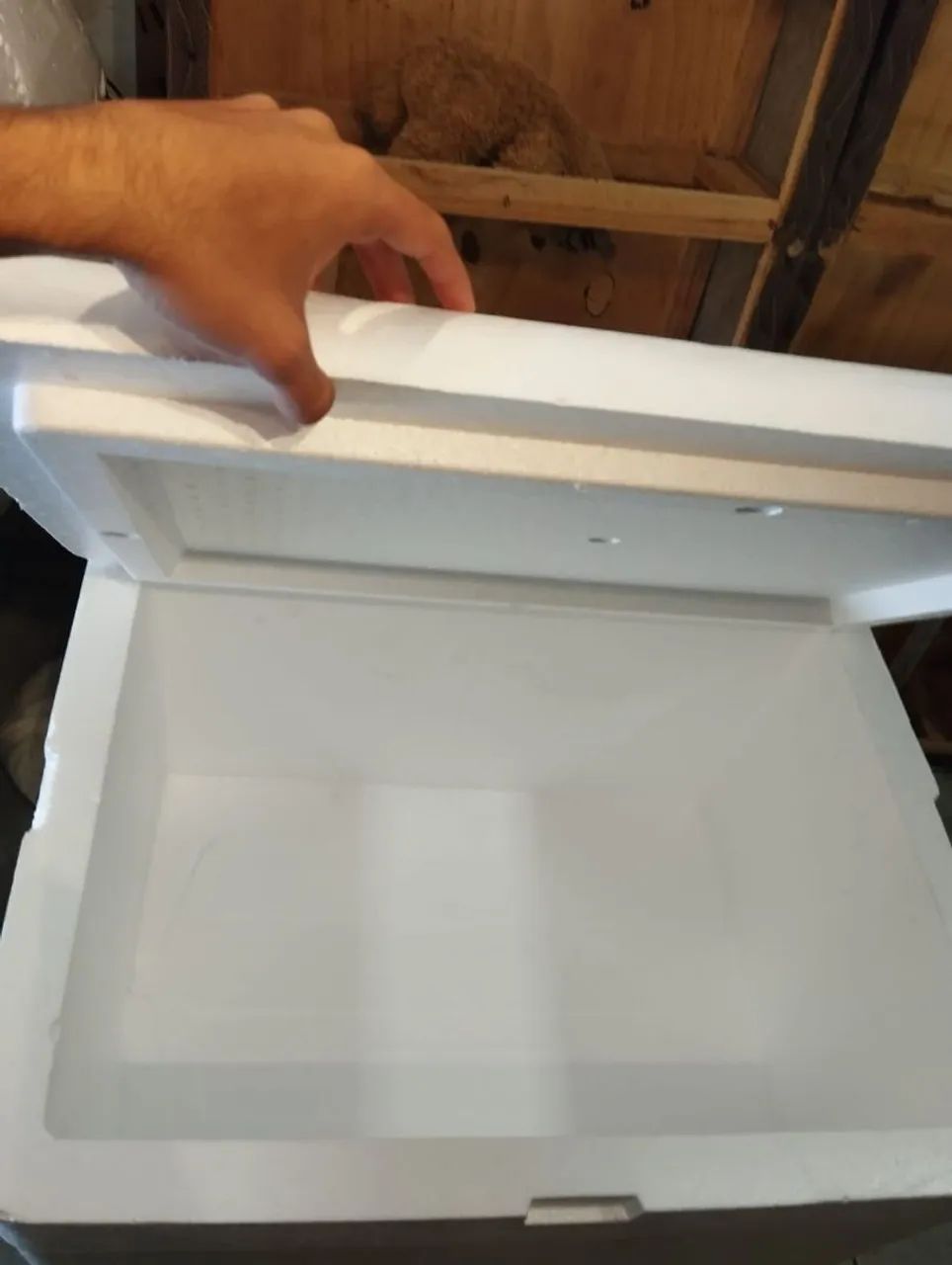 Caixa térmica isopor  - Foto 2