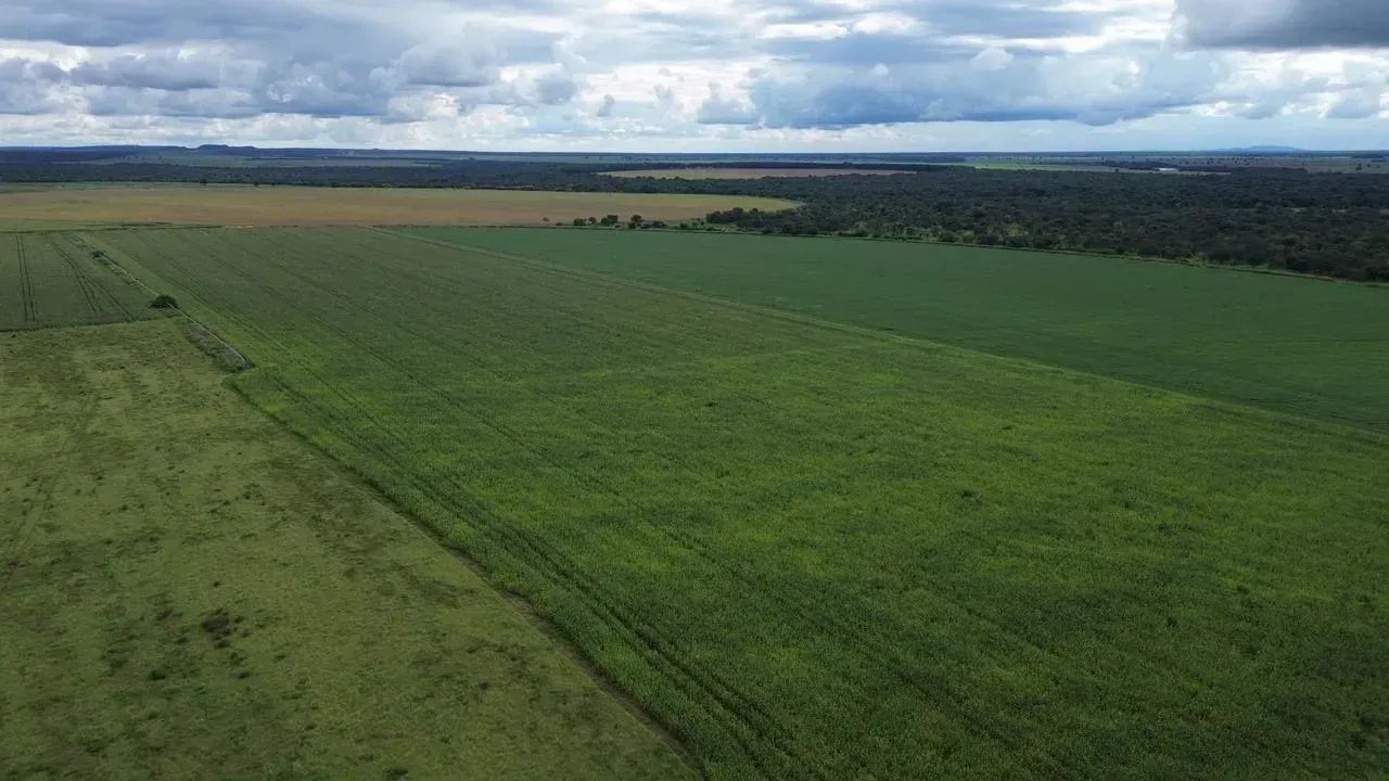 FAZENDA EM JUSSARA GO - 338 ALQUEIRES - Foto 5