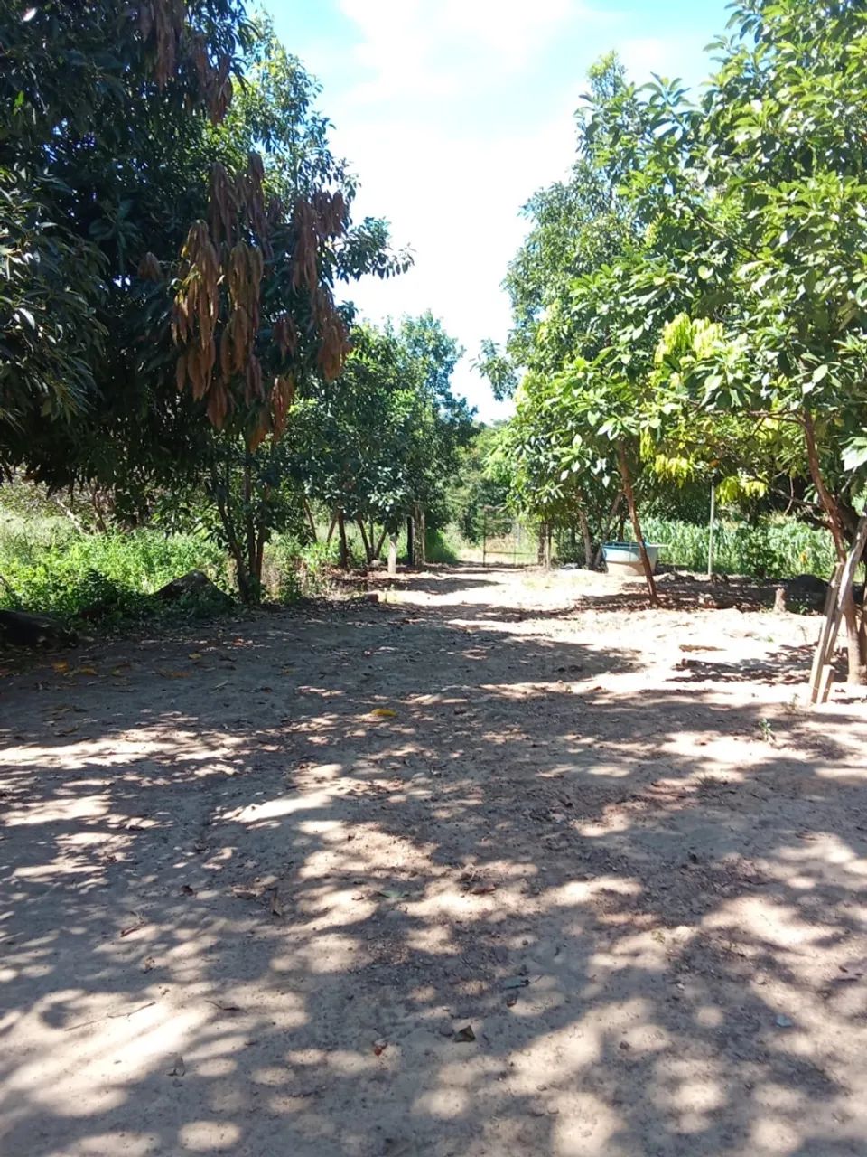 Chácara com 1 casa, 1 quarto, 1 banheiro - Foto 2
