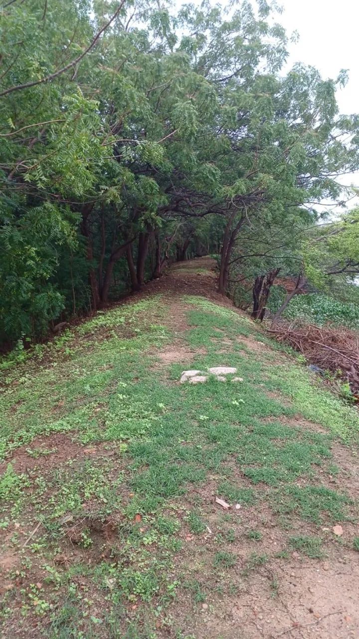 GRANJA SÍTIO CAICÓ - Foto 4