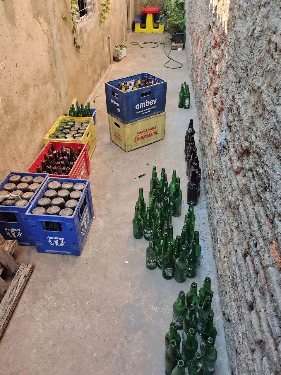 Cascos de cerveja 