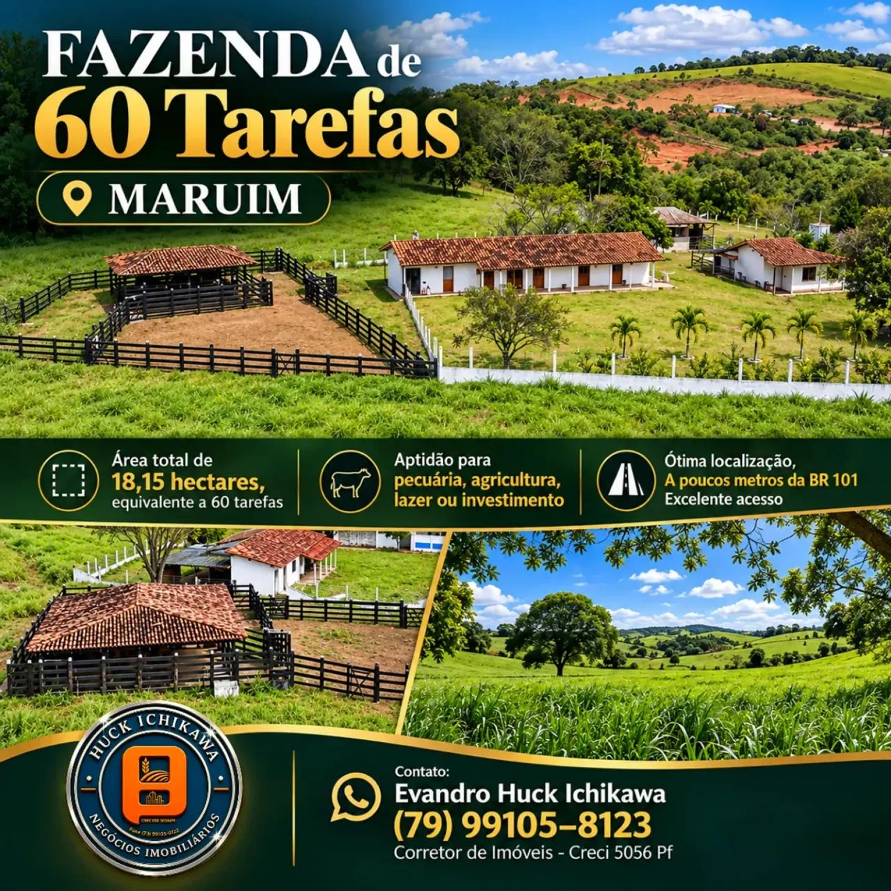 FAZENDA de 60 Tarefas MARUIM