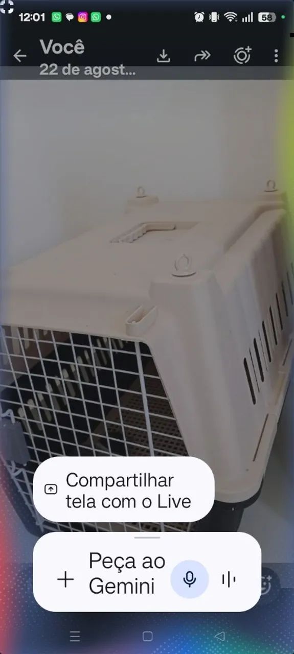 Casa ? transponder de pet porte grande 