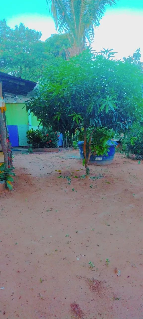 Foto - Paço do Lumiar - 