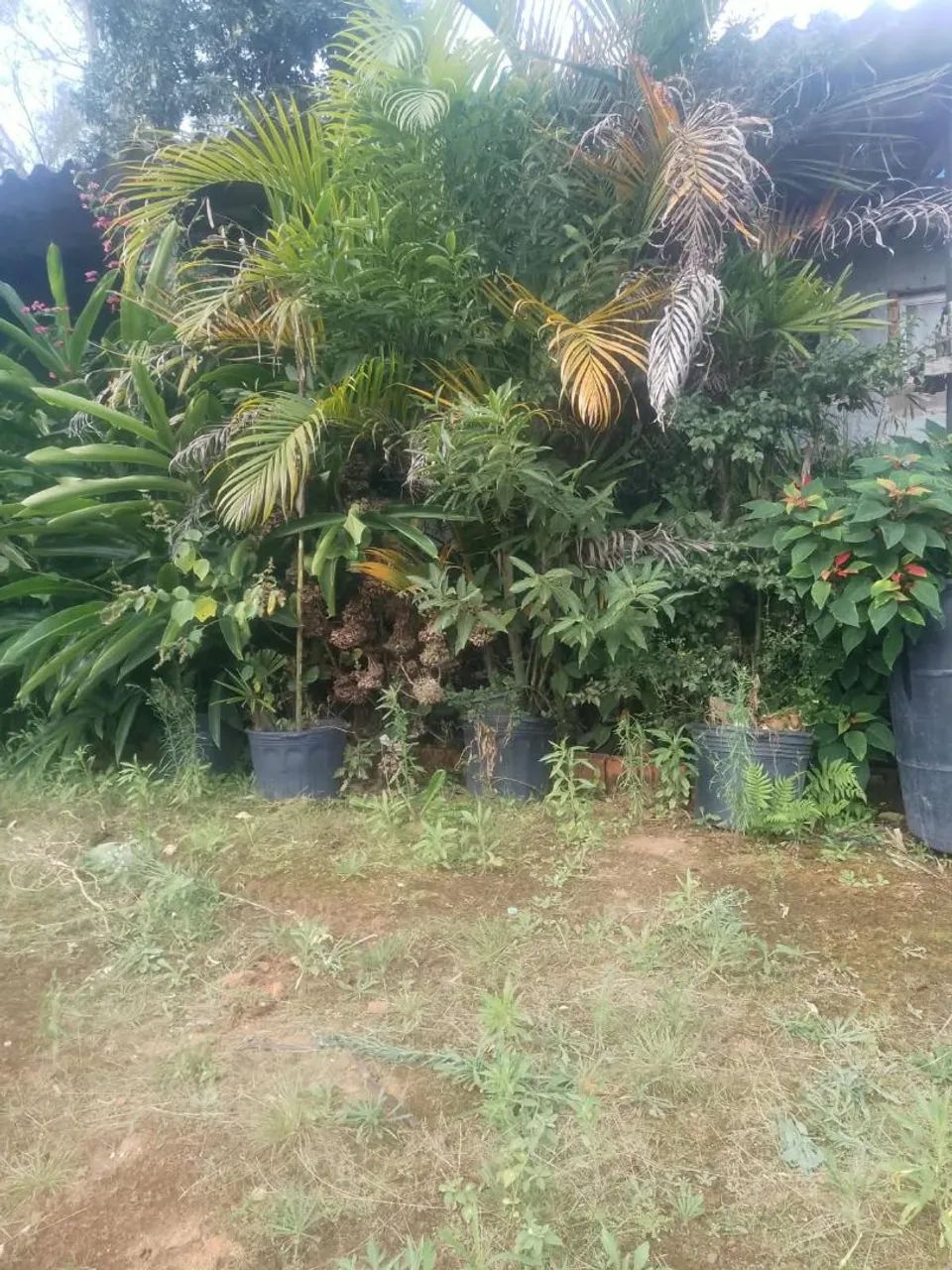 Chácara em Ibiúna há 4 km da cidade  - Foto 4