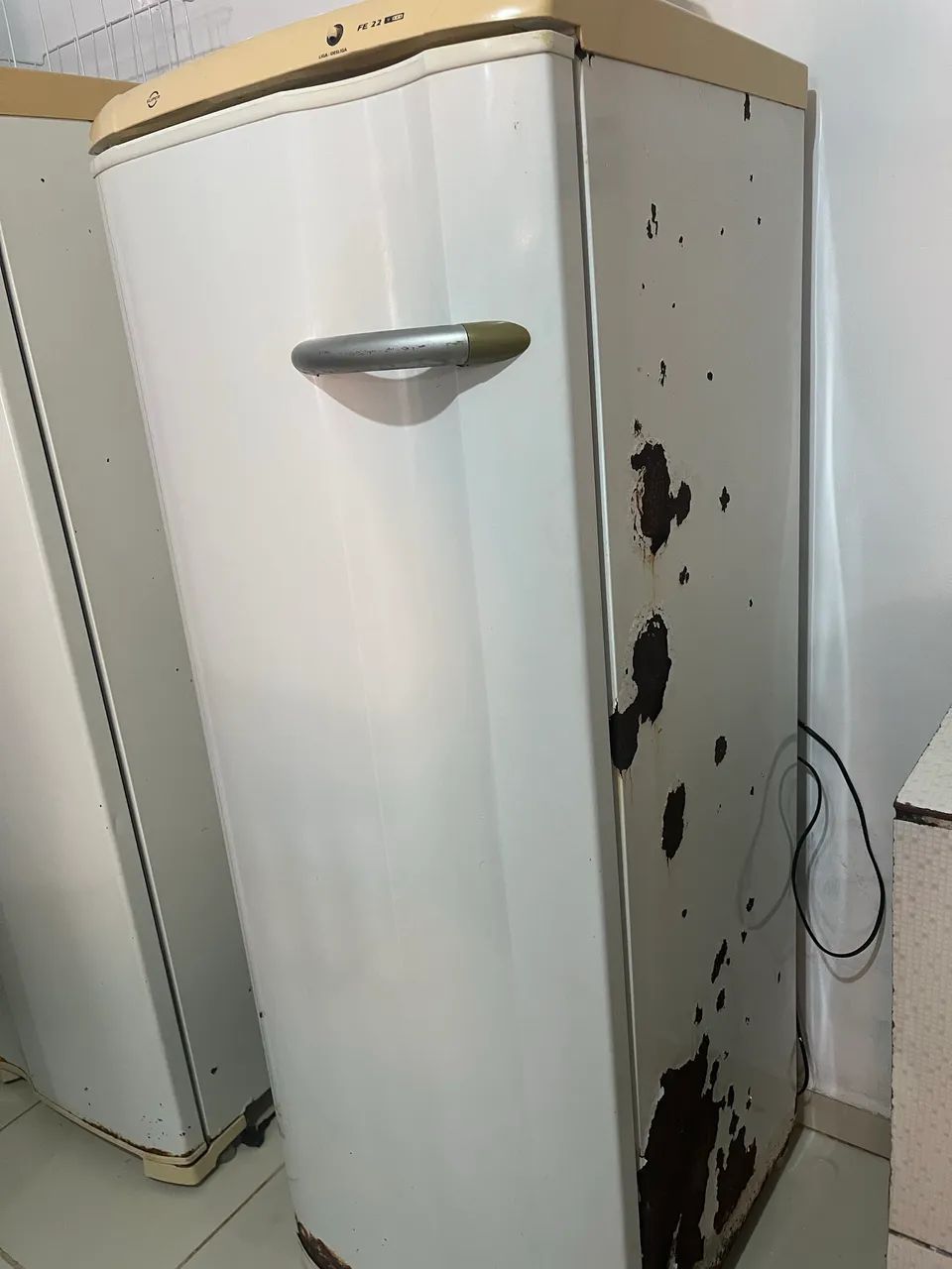 Freezer Electrolux 