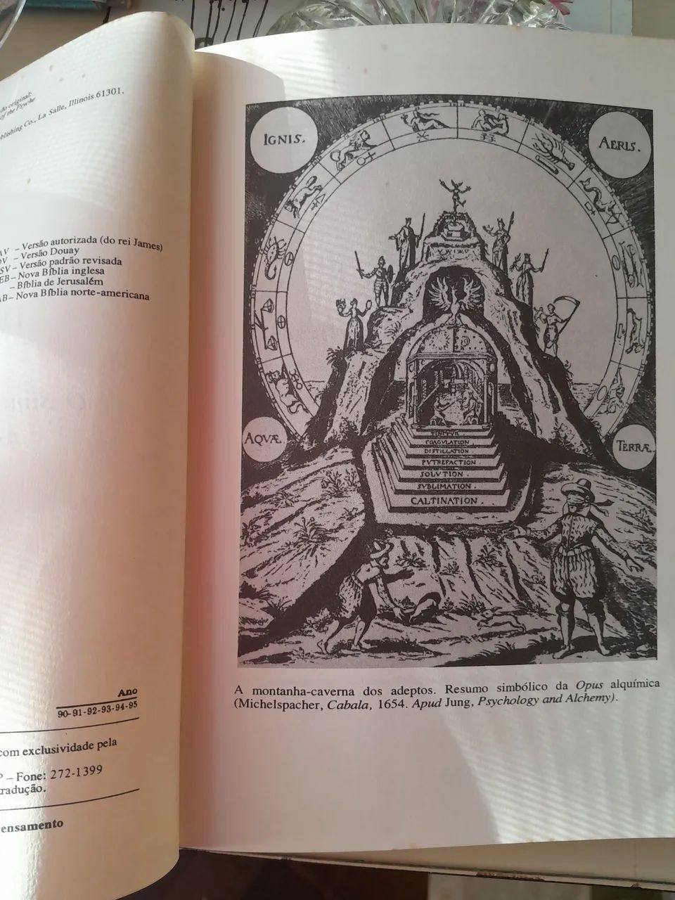 Anatomia da Psique - Foto 3
