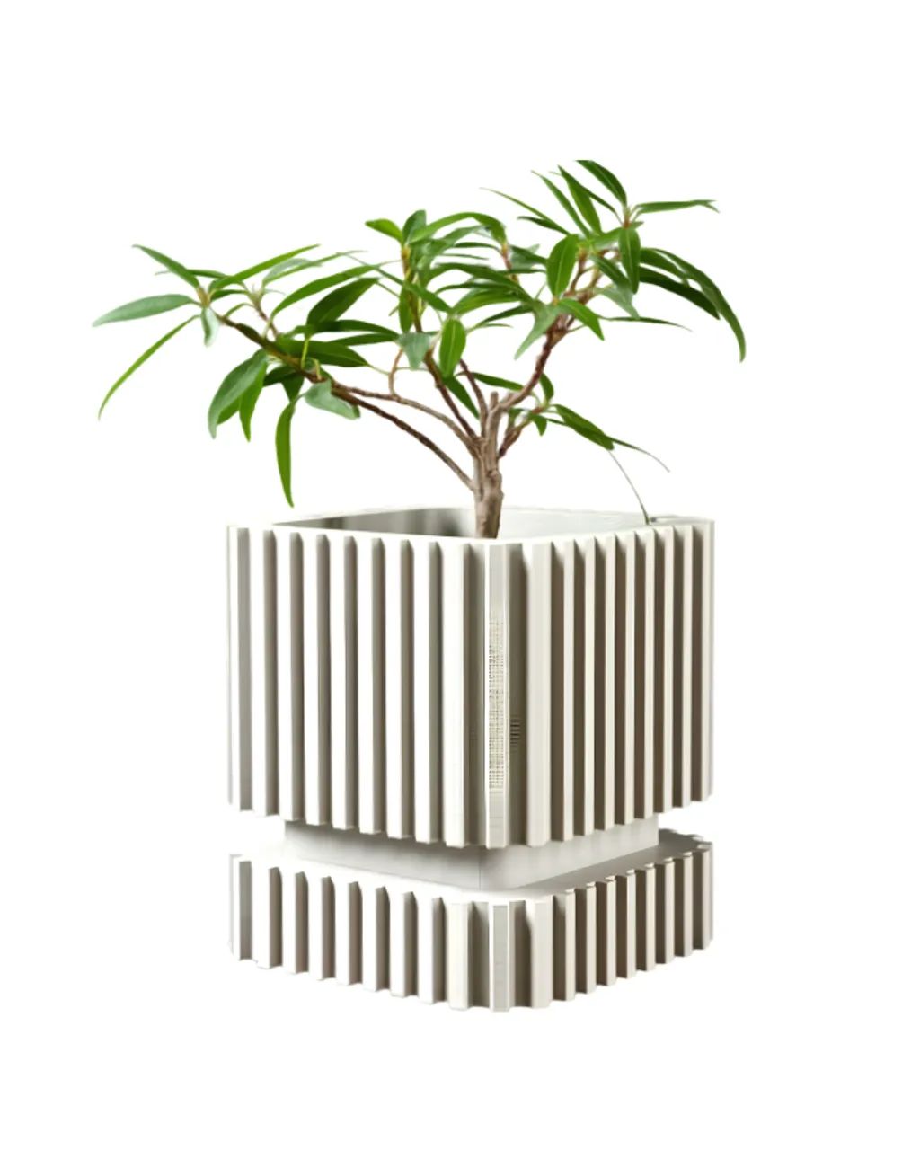 Vasos de plantas  - Foto 4