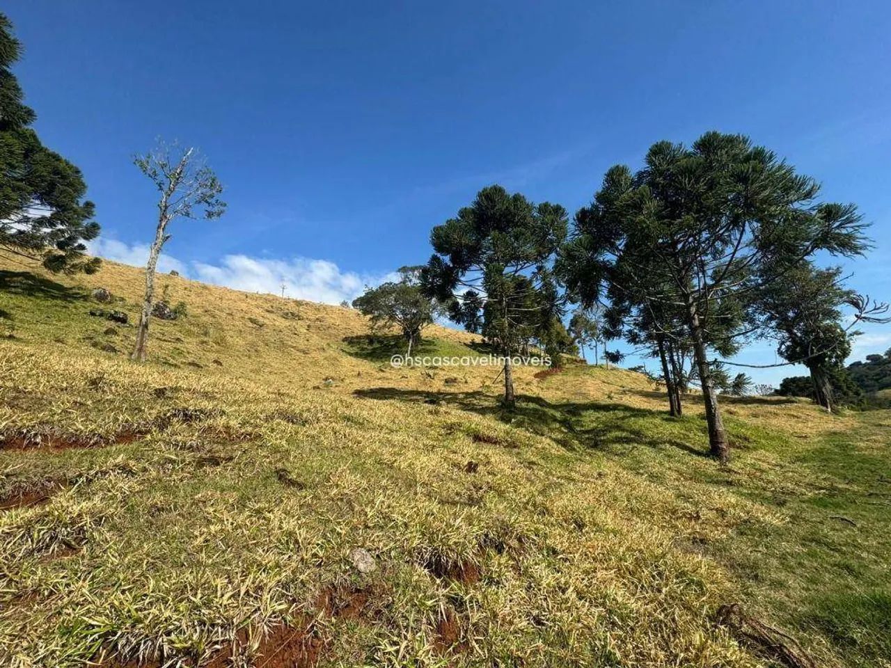 Fazenda em Guaraniaçu - Foto 2