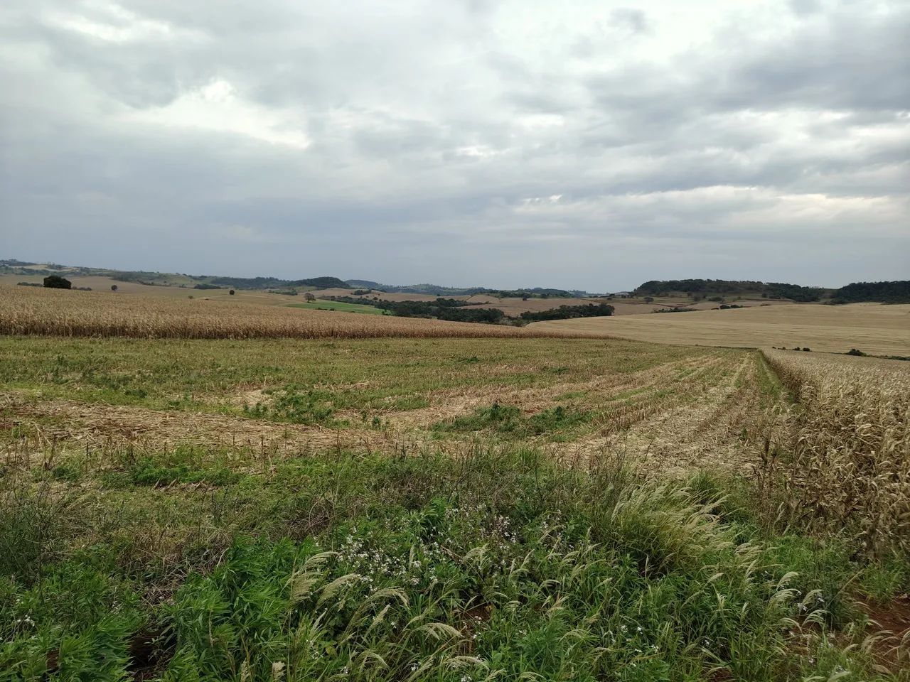 Sítio  - Foto 2