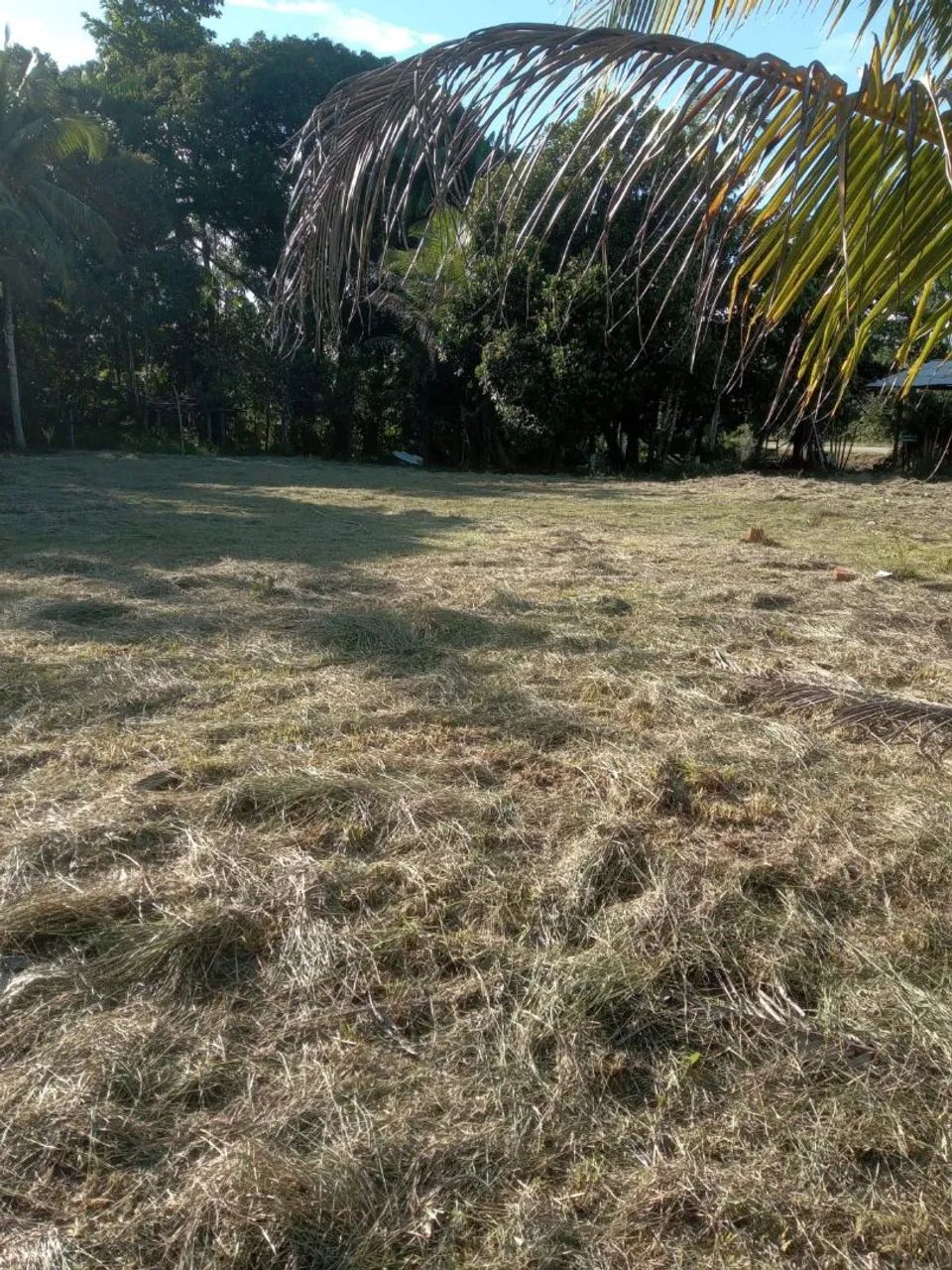 Terreno com sítio e casa em construção! - Foto 4