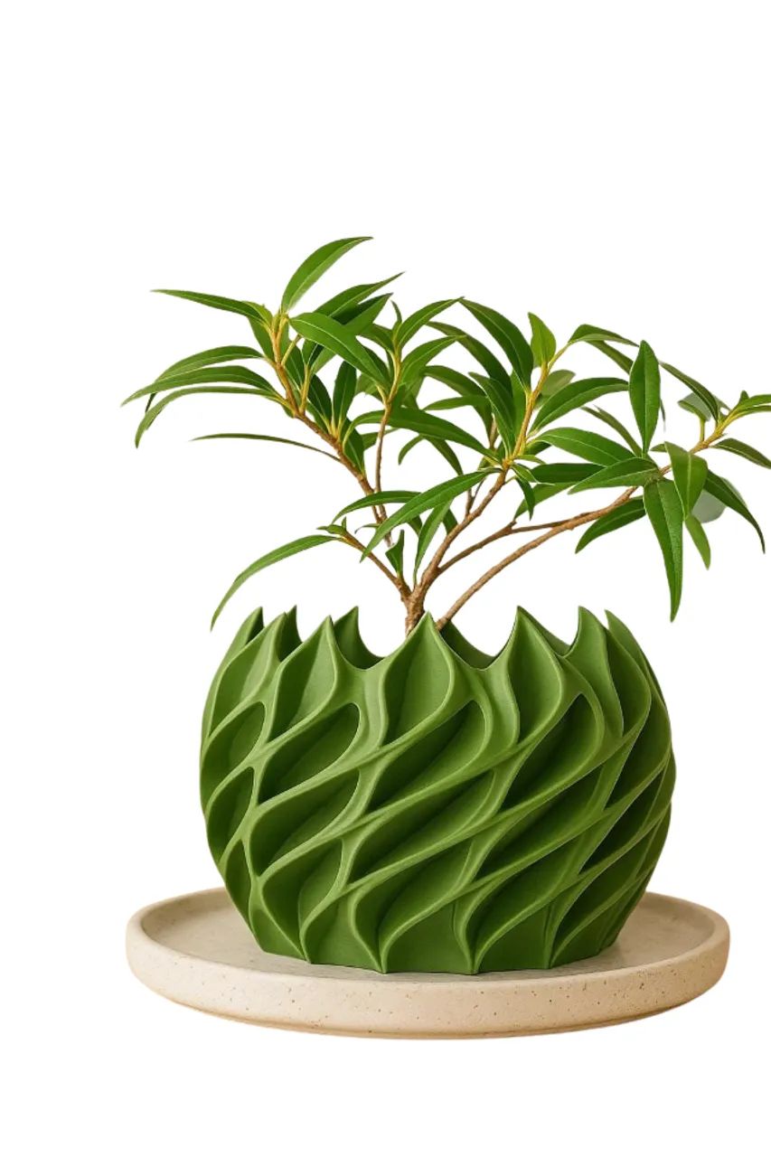 Vasos de plantas  - Foto 3