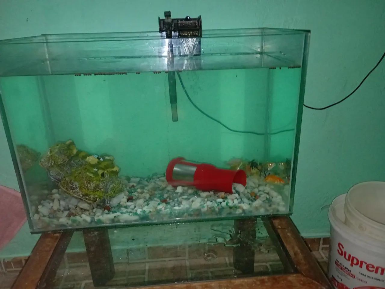 Aquário e tudo que esta visivel na foto( chama pv pra mais detalhes , faço negocio minimo.