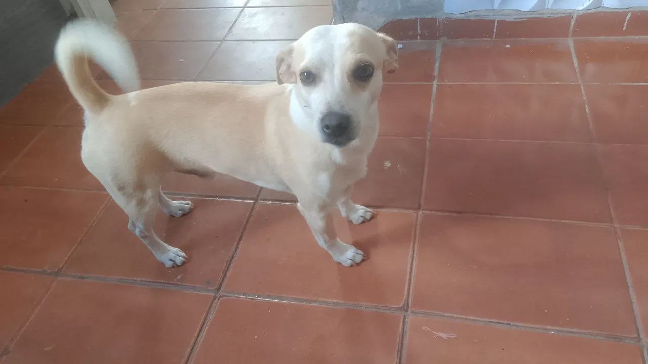 Doação  - Foto 2