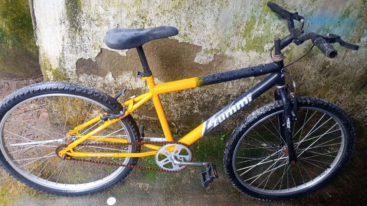 Bicicleta 