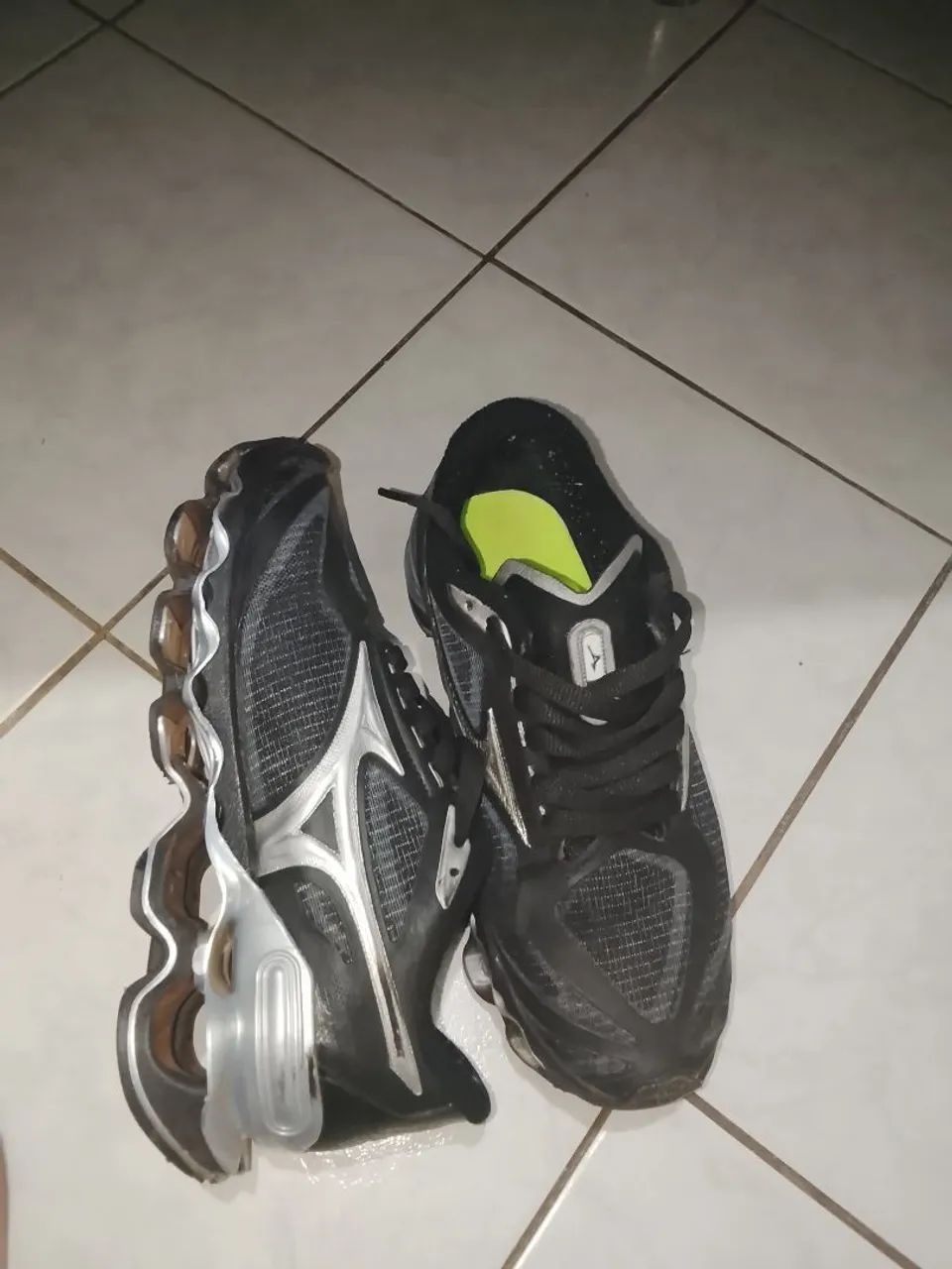 Mizuno prophecy 15