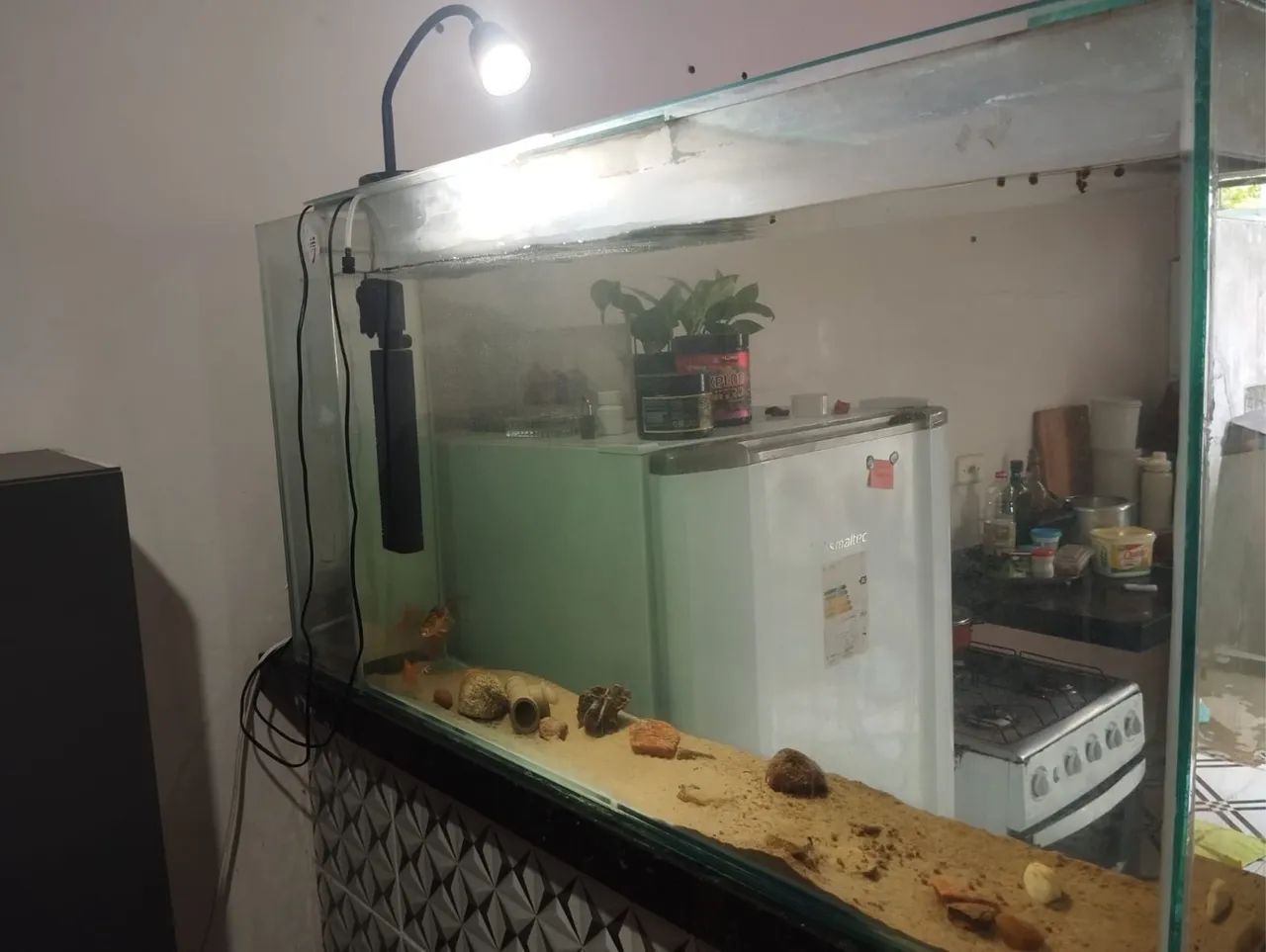 Aquário 250L - Foto 3