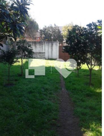 Terreno - Foto 2