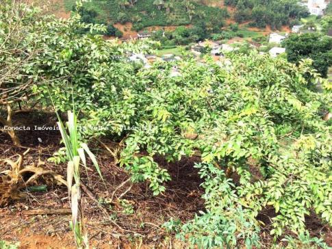 Casa para venda em santa maria de jetibá, são luiz, 3 dormitórios, 2 banheiros, 1 vaga - Foto 12