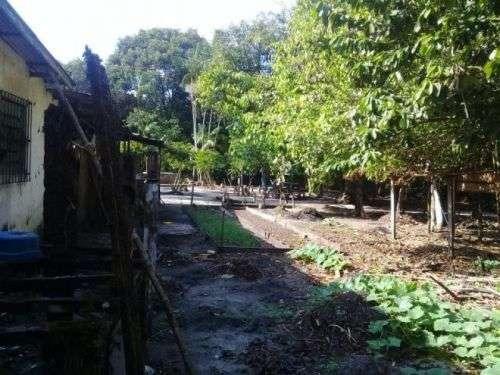 Barbada!!! Vendemos com exclusividade um Sítio/Terreno com 10,6 hectares - Foto 10