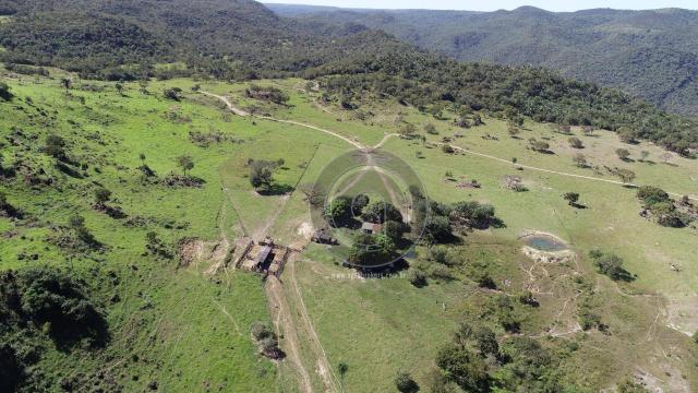 Fazenda 380 ha, na região de são vicente - Foto 4