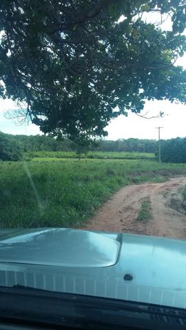 20 Alqueires, cheia de cachoeiras, perfeita para Ecoturismo. - Foto 7