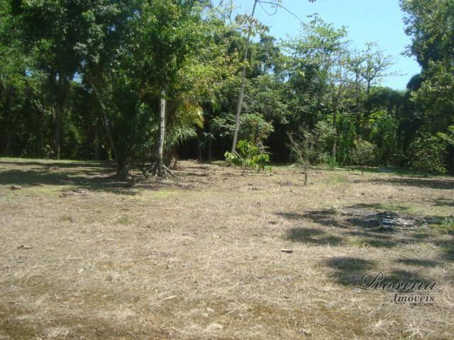 Òtimos terrenos para investimento em morretes - Foto 15