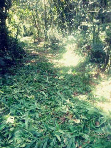 Terreno com 36.300 m² com registro de imóveis de frente para o asfalto - Foto 3