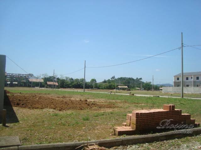Òtimos terrenos para investimento em morretes - Foto 11