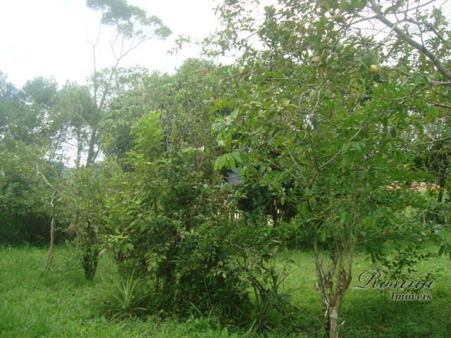 Linda chácara medindo 12.100,00 m² localizada no rio sagrado em morretes - Foto 12