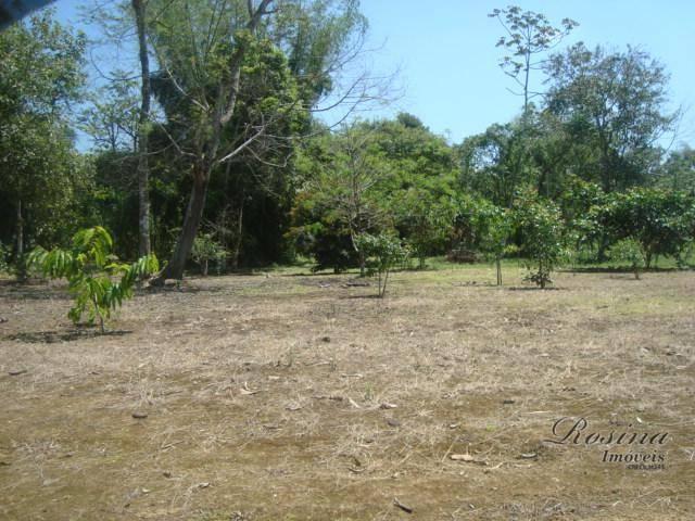 Òtimos terrenos para investimento em morretes - Foto 17