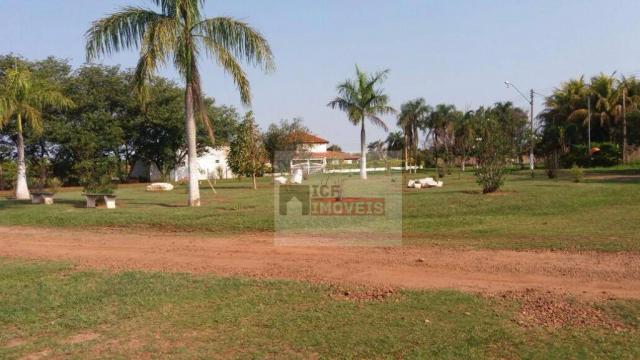 Terreno residencial à venda, zona rural, santo antônio do aracanguá. - Foto 11