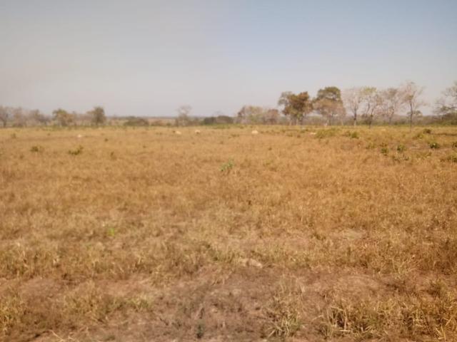 Fazenda em Livramento com piscina, muito pasto, represas e lago - Foto 12