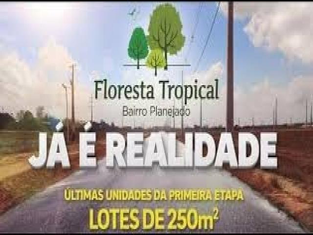 Terreno para Venda floresta tropical - Foto 12