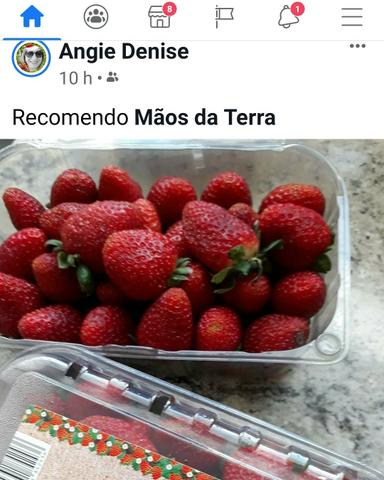 Morangos Congelados - Foto 2