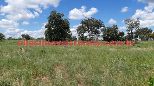 Sítio meio alqueire - Entre Uberlândia e Monte Alegre - Foto 8