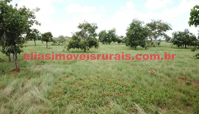 Sítio meio alqueire - Entre Uberlândia e Monte Alegre - Foto 11