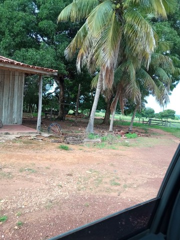 Fazenda no Capão Verde MT - Foto 4