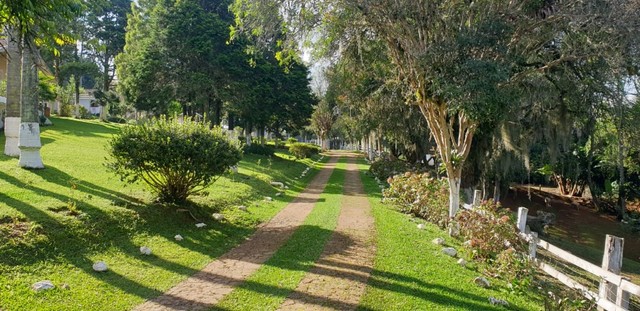 foto - Curitiba - Água Verde